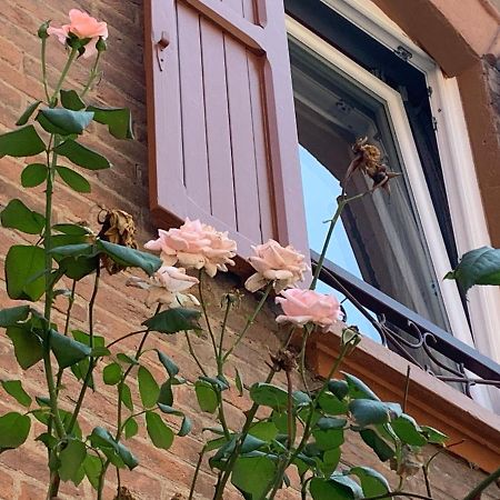 Апартаменты Casina Delle Rose Болонья Экстерьер фото