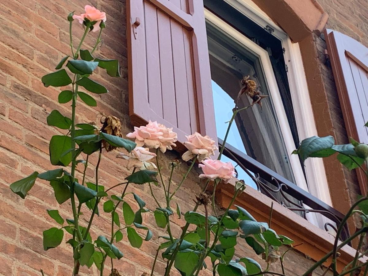 Апартаменты Casina Delle Rose Болонья Экстерьер фото